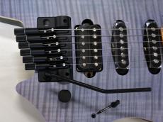 strandberg Boden Standard NX6 Trem_6
