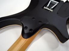 strandberg Boden Standard NX6 Trem_13