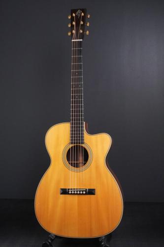 Julius Borges OM Cutaway