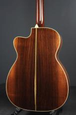 Julius Borges OM Cutaway_5