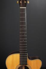 Julius Borges OM Cutaway_7