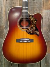 Epiphone Hummingbird Deluxe EC 【オール単板】