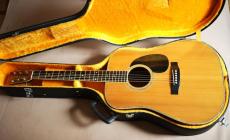 Morris SPECIAL W-50  Sヤイリ製_7