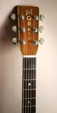 Morris SPECIAL W-50  Sヤイリ製_11