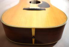Morris SPECIAL W-50  Sヤイリ製_17