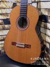 Antonio Sanchez [アントニオ・サンチェス] 2021年製 Mod.el:Profesor-4C 杉・ローズウッド【日本総本店2F 在庫品】_2