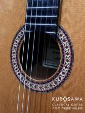 Antonio Sanchez [アントニオ・サンチェス] 2021年製 Mod.el:Profesor-4C 杉・ローズウッド【日本総本店2F 在庫品】_3