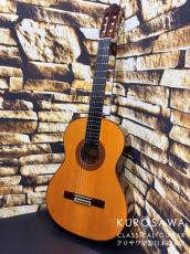 Hoyer ホイヤー Hoyer Classic Model:HC200A 松・ローズウッド 【日本総本店2F 在庫品】