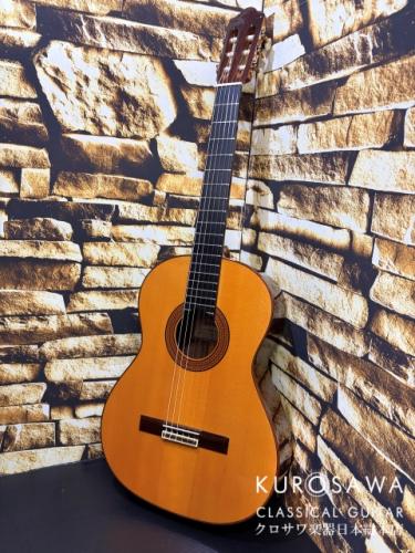 Hoyer ホイヤー Hoyer Classic Model:HC200A 松・ローズウッド 【日本総本店2F 在庫品】