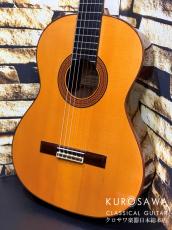 Hoyer ホイヤー Hoyer Classic Model:HC200A 松・ローズウッド 【日本総本店2F 在庫品】_2