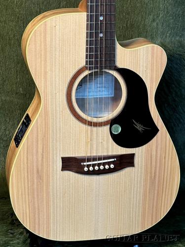 Maton The Maton Performer #9267【48回迄金利0%対象】【送料当社負担】