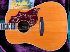 Gibson HUMMINGBIRD NT_2