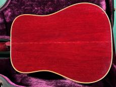 Gibson HUMMINGBIRD NT_3