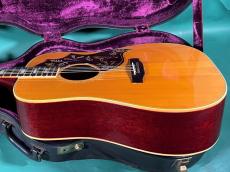 Gibson HUMMINGBIRD NT_4