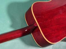 Gibson HUMMINGBIRD NT_9