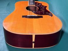 Gibson HUMMINGBIRD NT_11