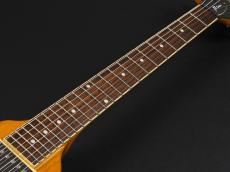 Hamer XT Series Vector ~Natural~_8