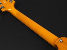 Hamer XT Series Vector ~Natural~_10