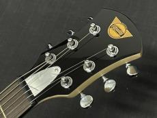 Pignose PGG-200MF【ロッキンオーダーモデル!!】_5