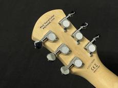 Pignose PGG-200MF【ロッキンオーダーモデル!!】_6