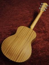 Taylor GS Mini Mahogany_2