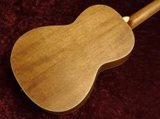 Paul Reed Smith [PRS] SE P20 Vintage Mahogany_3