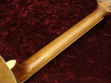 Paul Reed Smith [PRS] SE P20 Vintage Mahogany_5