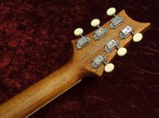 Paul Reed Smith [PRS] SE P20 Vintage Mahogany_7