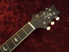 Paul Reed Smith [PRS] SE P20 Tobacco Sunburst_6