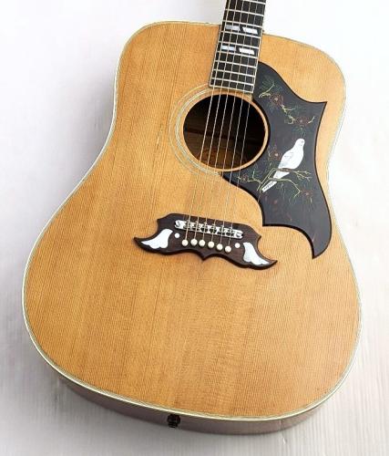 Gibson 【Gibson Expo 目玉品】 Dove Tune-O-Matic【1965年製】【レギュラーネック】