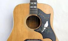 Gibson 【Gibson Expo 目玉品】 Dove Tune-O-Matic【1965年製】【レギュラーネック】_5