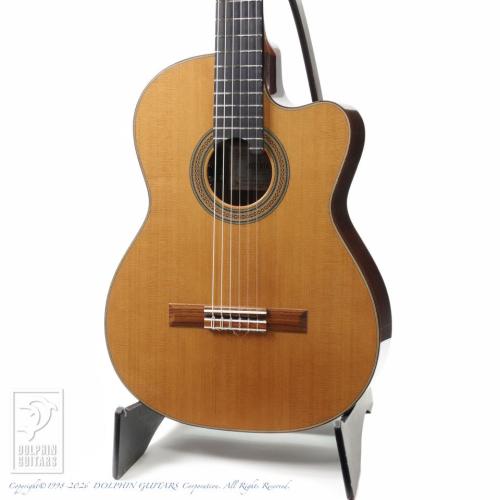 ASTURIAS Tsuji S-CW Cedar (Nylon Strings)