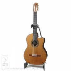 ASTURIAS Tsuji S-CW Cedar (Nylon Strings)_2