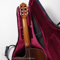 ASTURIAS Tsuji S-CW Cedar (Nylon Strings)_8