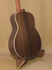 Taylor GT811e_3