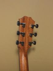 Taylor GT811e_7