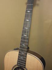 Taylor GT811e_8