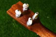 tkitki ukulele ECO-S Limited Edition/Pua melia Soprano【S/N 1586】_6
