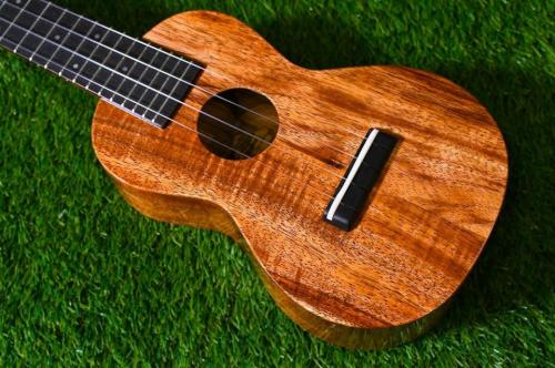 tkitki ukulele ECO-S Limited Edition/Pua melia Soprano【S/N 1587】