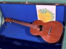 Martin STYLE-51