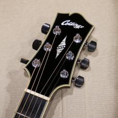 Collings SJ-3 Baaa GC 【USED】_7