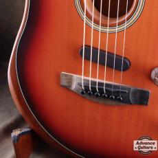 Fender American Acoustasonic Stratocaster_14