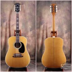 Terada Guitars Terada FW-504