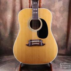 Terada Guitars Terada FW-504_3