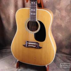 Terada Guitars Terada FW-504_4