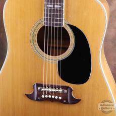 Terada Guitars Terada FW-504_5