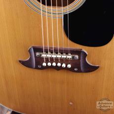 Terada Guitars Terada FW-504_7