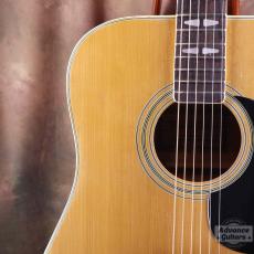 Terada Guitars Terada FW-504_8