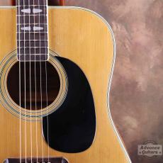 Terada Guitars Terada FW-504_9