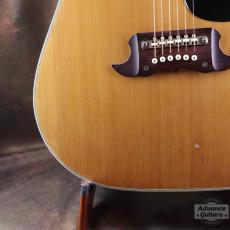 Terada Guitars Terada FW-504_11